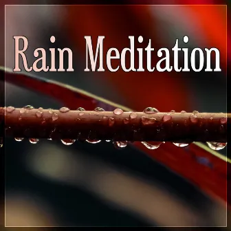 Rain Meditation - In Harmony with Nature Sounds, Healing Rain, Pacific Ocean Waves for Well Being by Healing Rain Sounds