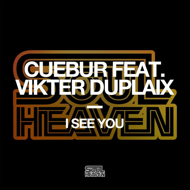 I See You (feat. Vikter Duplaix)