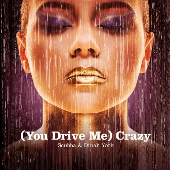 (You Drive Me) Crazy by Scubba