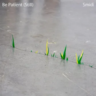 Be Patient (Still) - Single by Smidi