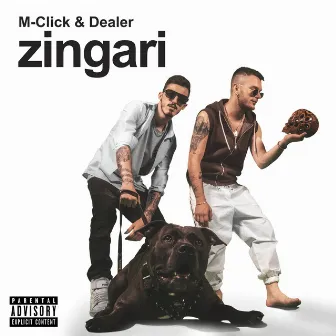 Zingari by Dealer