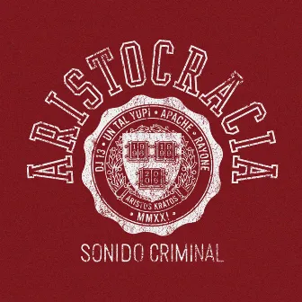 Sonido Criminal by DJ 13