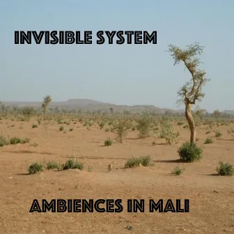 Ambiences in Mali by Invisible System