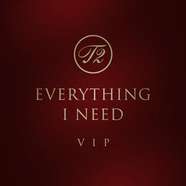 Everything I Need (Vip MIX)