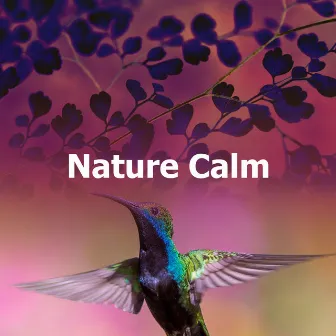 Nature Calm by Bird Recordings