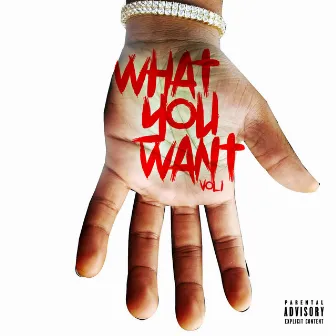 What You Want, Vol. 1 by Mookie_N4RS