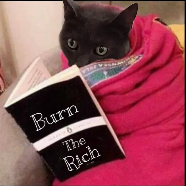 Burn The Rich