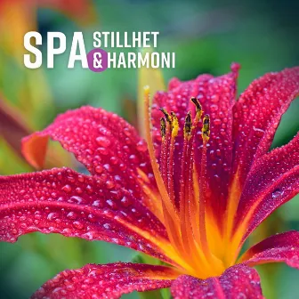 SPA - Stillhet & Harmoni, Koppla av, Stillhet, Omfamnar känslan i att bara vara, Stressfri zon, Lugn och rofylld stämning by Skönhet Spa Zon