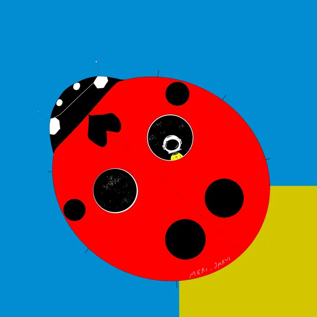 A lady bird