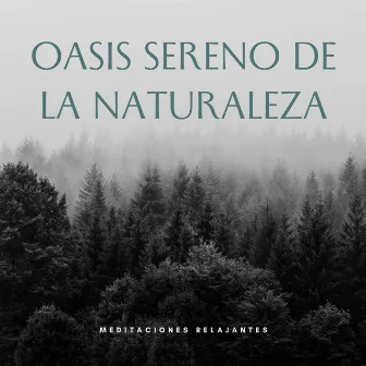 Oasis Sereno De La Naturaleza: Meditaciones Relajantes by Próxima Naturaleza