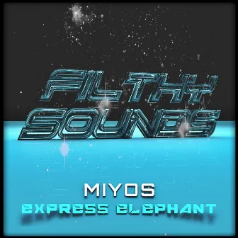 Express Elephant by Miyos