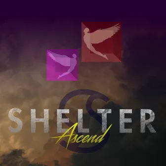 Ascend by Shelter