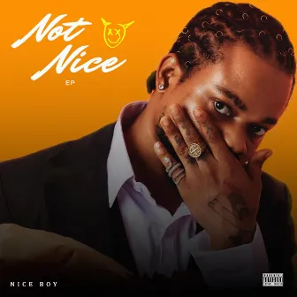 Not Nice by Niceboy