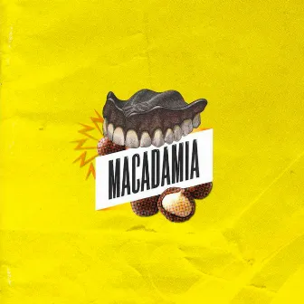 Macadamia by Macadamia