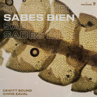 Sabes Bien by DeWitt Sound