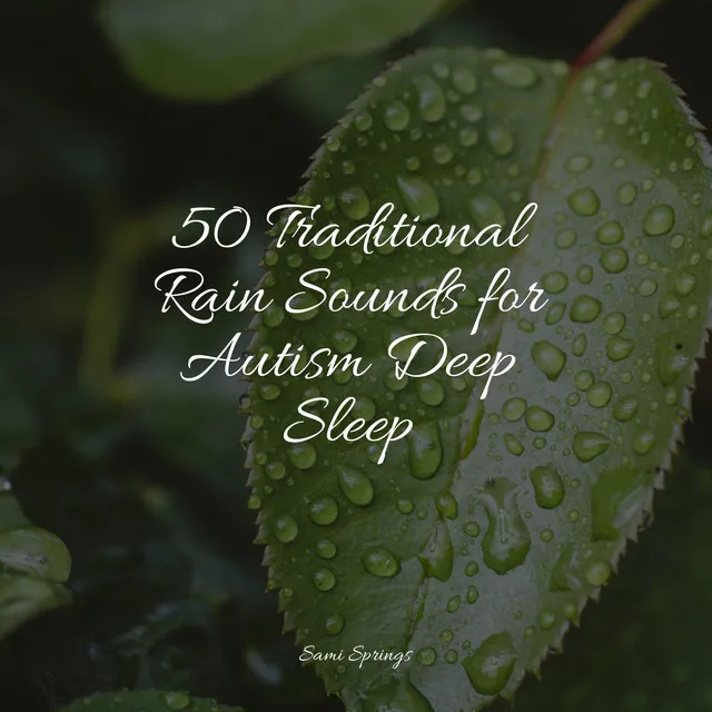 50 Traditional Rain Sounds for Autism Deep Sleep