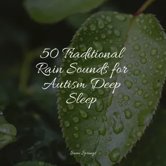 50 Traditional Rain Sounds for Autism Deep Sleep by Rain Makers