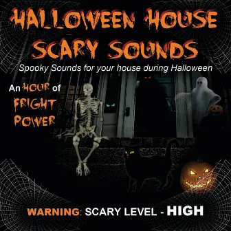 Scary Sounds: Spooky Sounds For Your House During Halloween by Halloween House