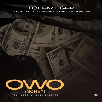 Owo (Money) by TOLEMTIGER