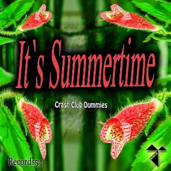 It's Summertime by Crash Club Dummies