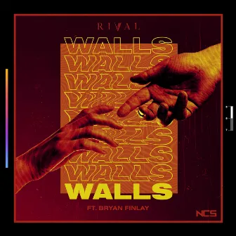 Walls by Bryan Finlay