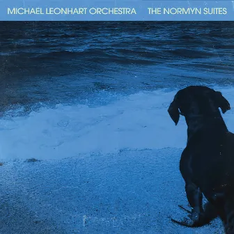 The Normyn Suites by Michael Leonhart Orchestra