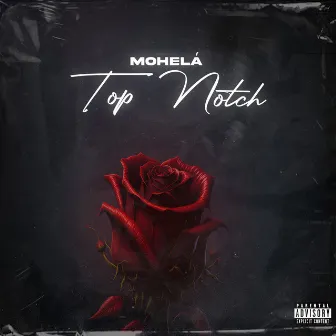 Top Notch by Mohelá