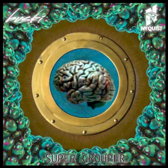 Super Grouper by Nyquist