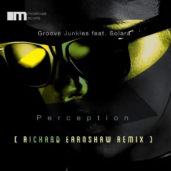 Perception by Groove Junkies