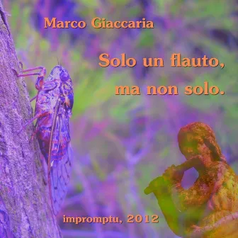 Solo Un Flauto, Ma Non Solo. by Marco Giaccaria