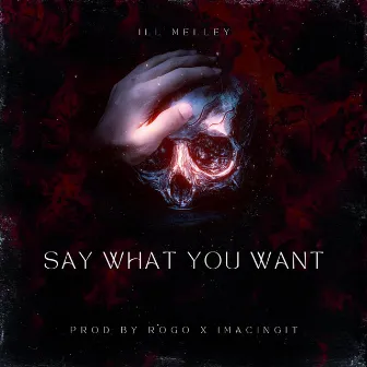 Say What You Want by Ill Melley