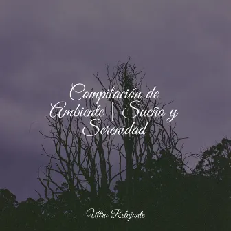 Compilación de Ambiente | Sueño y Serenidad by Masaje Relajante Masters