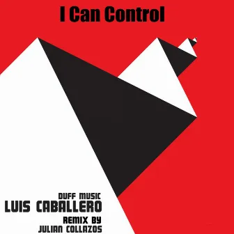 I Can Control Remix by Luis Caballero