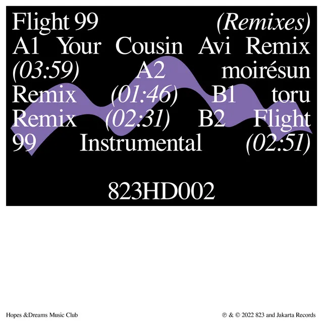 Flight 99 - Your Cousin Avi Remix