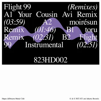 Flight 99 (Remixes) by Please Wait