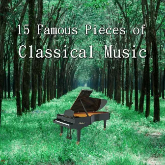 15 Famous Pieces of Classical Music by Rain520