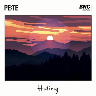 Hiding by Pe:Te