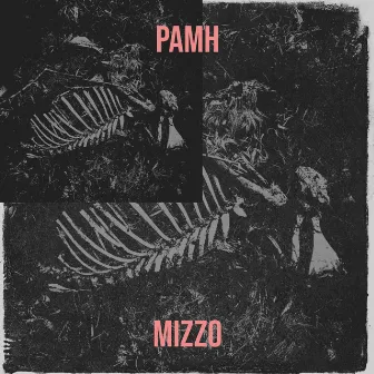 Pamh by Mizzo