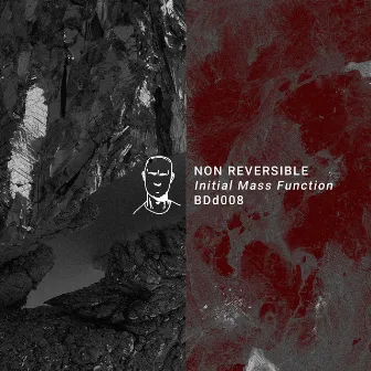 Initial Mass Function EP by Non Reversible