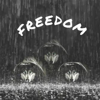 Freedom by Mike Wavy