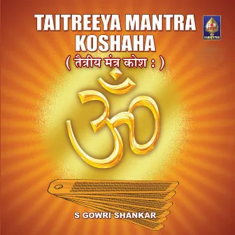 Taittireeya Mantra Koshan by S.Gowri Shankar