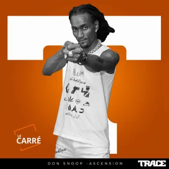 Ascension (Le Carré) by Don Snoop