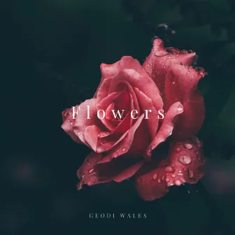 Flowers by Geodi Wales