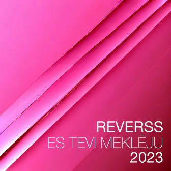 Es Tevi Meklēju 2023 by Jerox