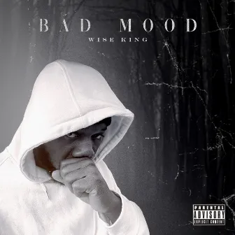 Bad Mood by Wise King