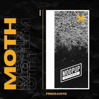 Frizzante by MOTH