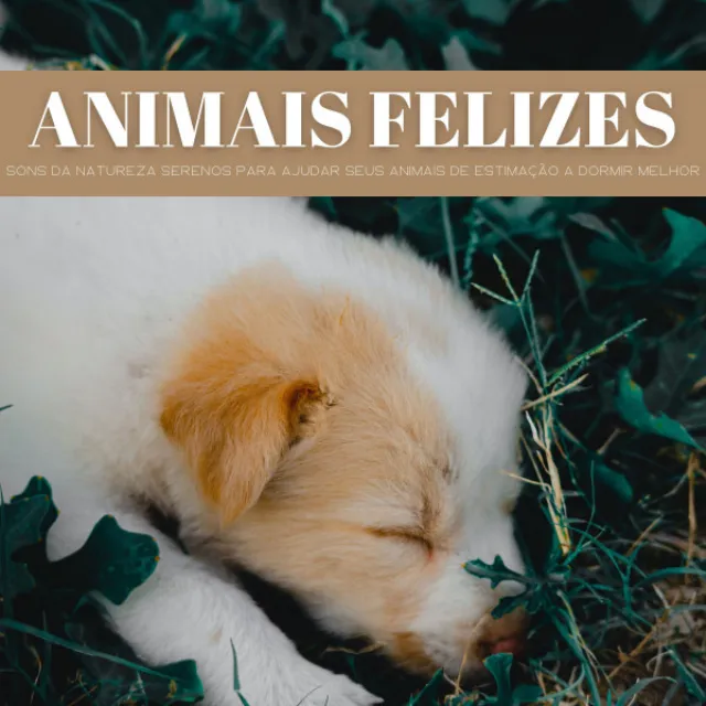 Animais Felizes: Sons Da Natureza Serenos Para Ajudar Seus Animais De Estimação A Dormir Melhor