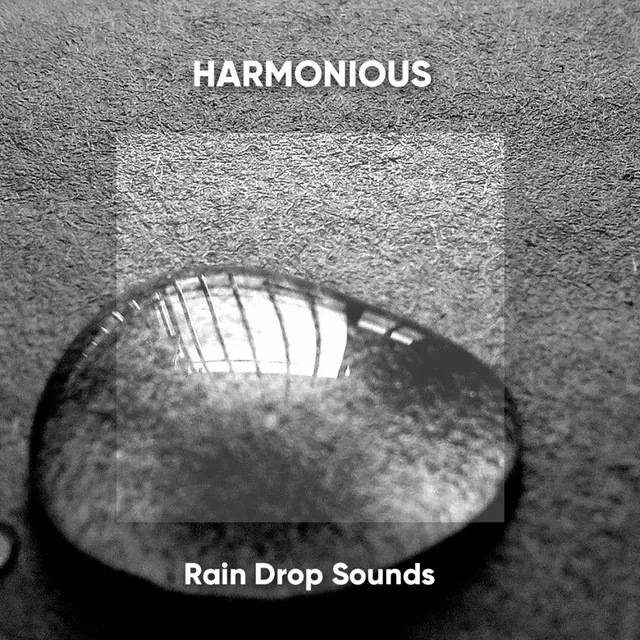 Harmonious Rain Drop Sounds