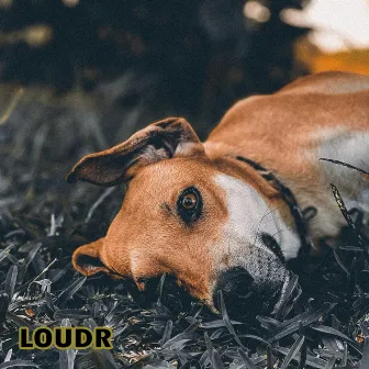 Loudr by Mad Lopher