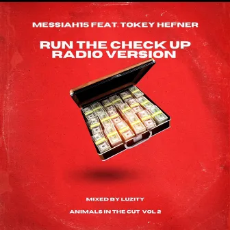 Run the check up (Radio Edit) by Messiah15